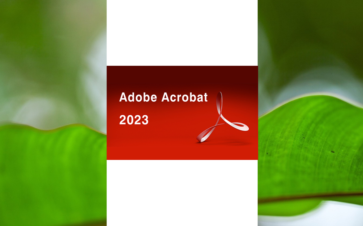 adobe破解版下载_(adobe破解软件下载)